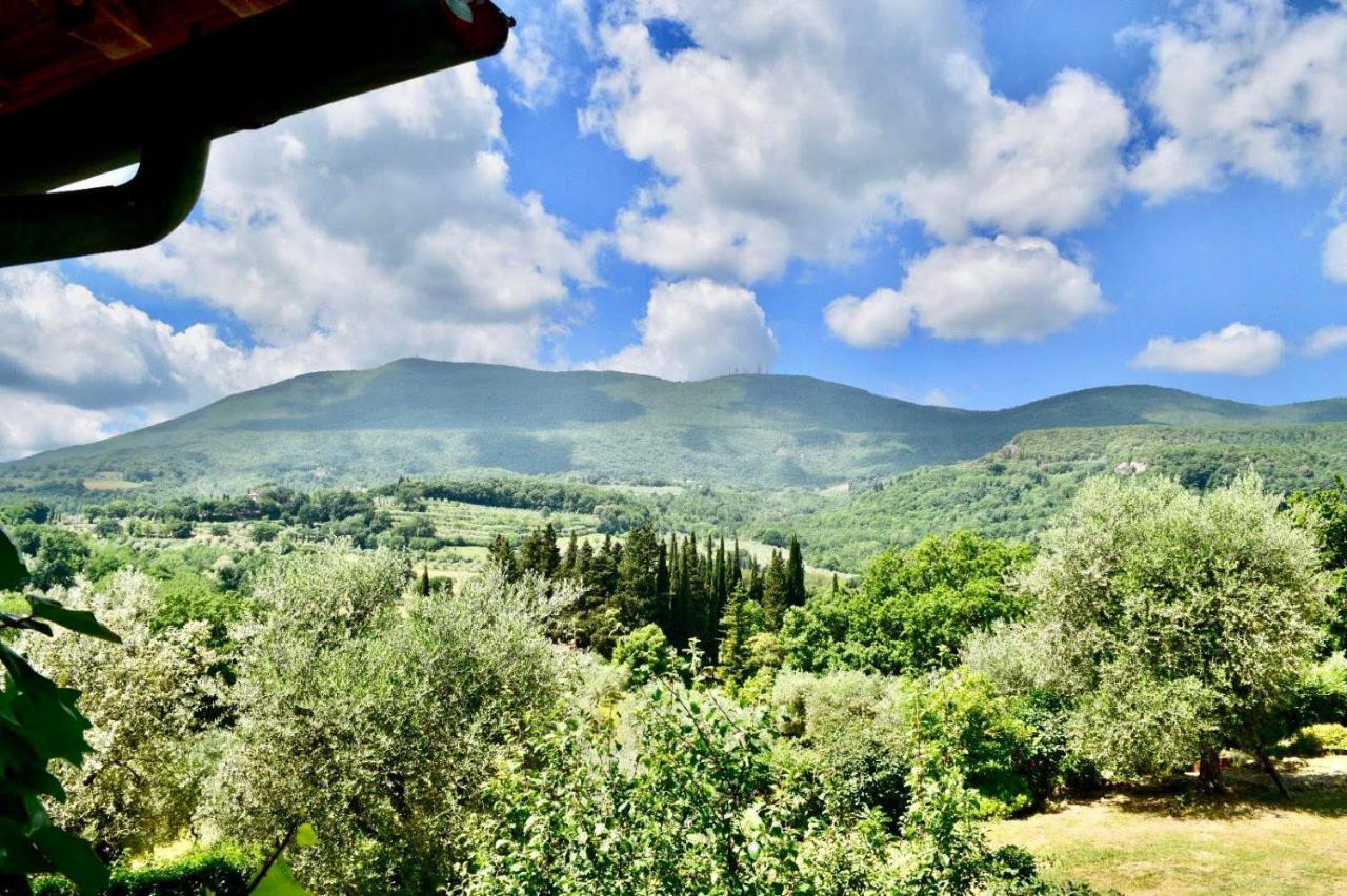 Podere Bargnano Cetona, Sleeps 12, Pool, Wifi, Air Conditioning Exteriér fotografie